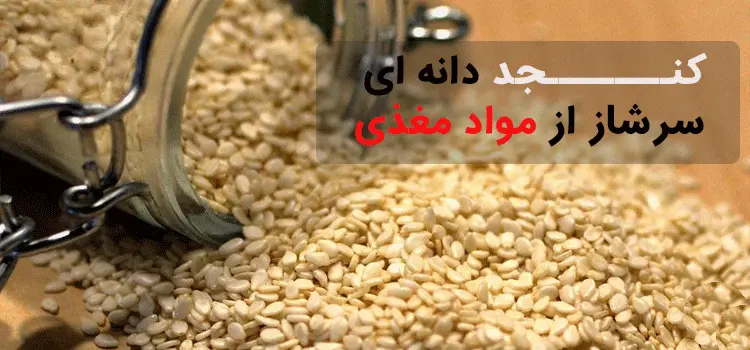 یک ظرف شیشه ای که روی میز افتاده است و کنجد های سفید داخل آن به روی میز سرازیر شده است.