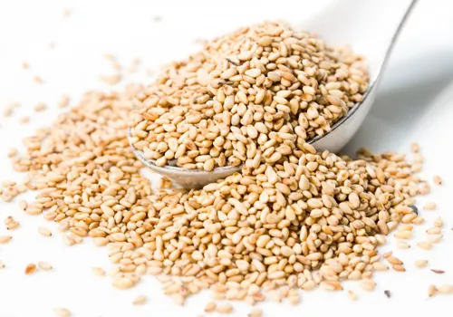 دانه های کنجد برای تهیه روغن کنجد