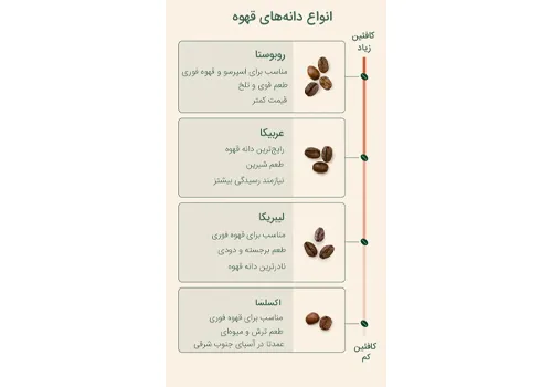 انواع دانه قهوه بصورت رست شده